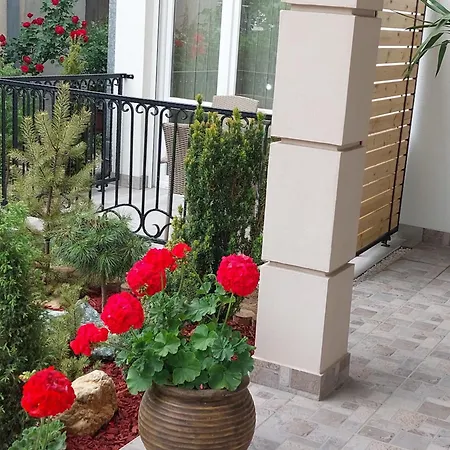 Apartmani Radulovic Vrnjacka Banja Room photo