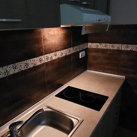 Apartmani Radulovic Vrnjacka Banja Room photo