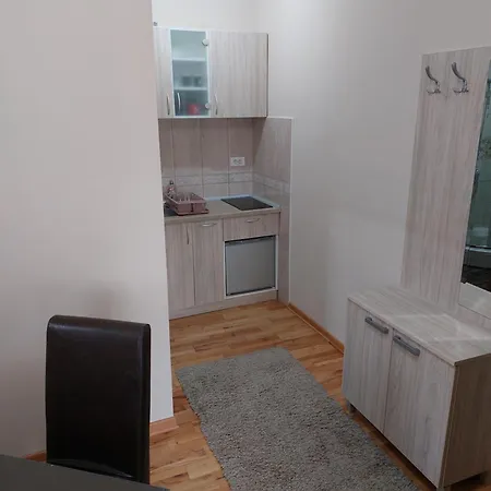Apartmani Radulovic Vrnjacka Banja Room photo