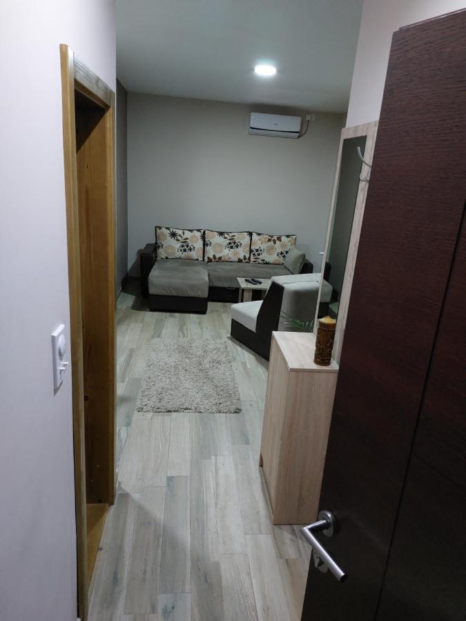 Radulovic Apartment Vrnjacka Banja