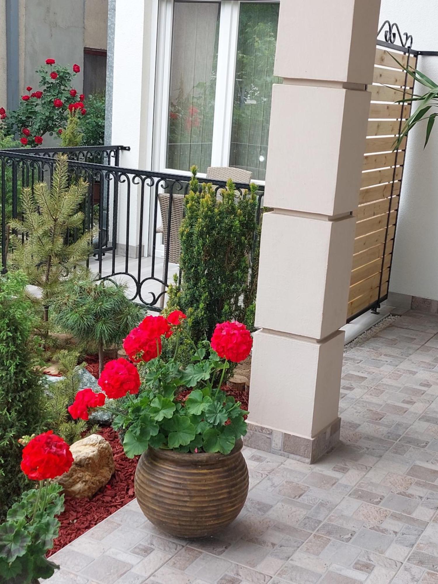 Radulovic Apartment *