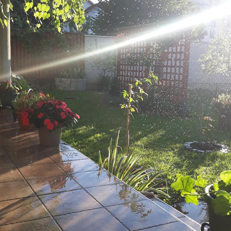Apartment Radulovic