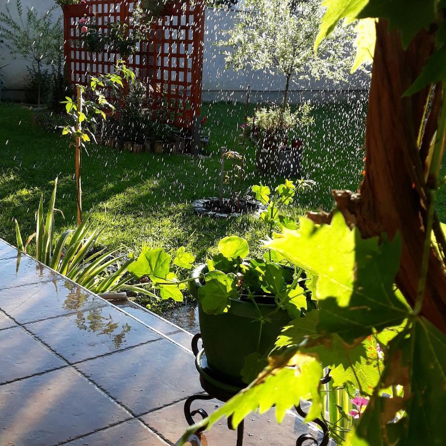 Apartment Radulovic Vrnjacka Banja